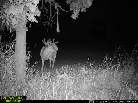 Other - 21881 Kale Rd, Sparta, WI 54656 photo 37 of 54