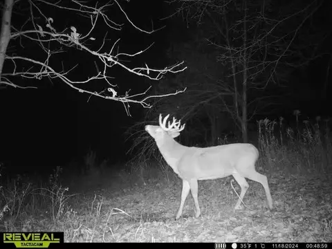 Other - 21881 Kale Rd, Sparta, WI 54656 photo 40 of 54