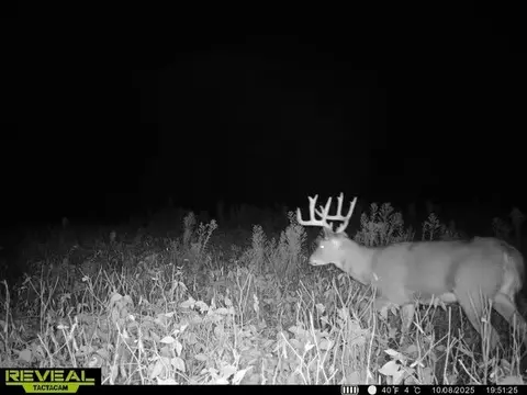 Other - 21881 Kale Rd, Sparta, WI 54656 photo 39 of 54