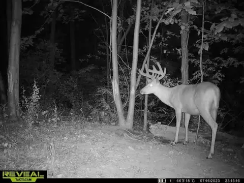 Other - 21881 Kale Rd, Sparta, WI 54656 photo 31 of 54