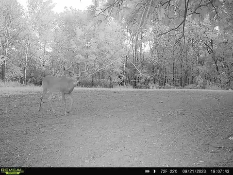 Other - 21881 Kale Rd, Sparta, WI 54656 photo 30 of 54