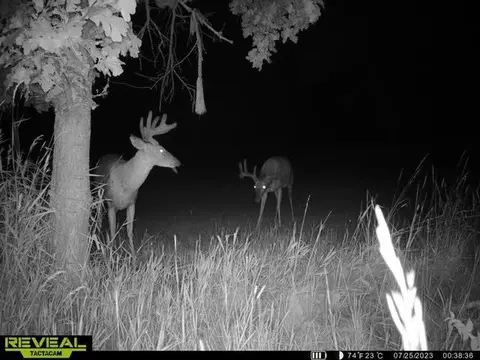Other - 21881 Kale Rd, Sparta, WI 54656 photo 33 of 54