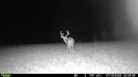 Other - 21881 Kale Rd, Sparta, WI 54656 photo 21 of 54