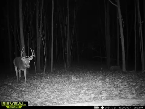 Other - 21881 Kale Rd, Sparta, WI 54656 photo 28 of 54