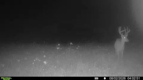 Other - 21881 Kale Rd, Sparta, WI 54656 photo 18 of 54