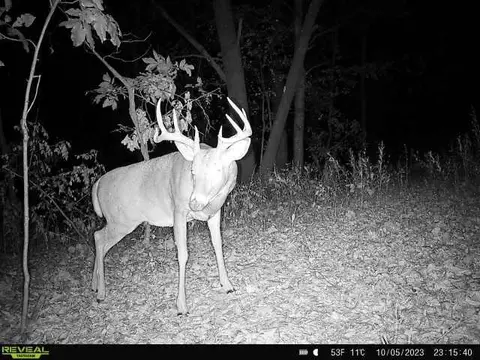 Other - 21881 Kale Rd, Sparta, WI 54656 photo 27 of 54