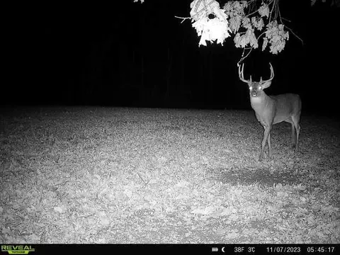 Other - 21881 Kale Rd, Sparta, WI 54656 photo 32 of 54