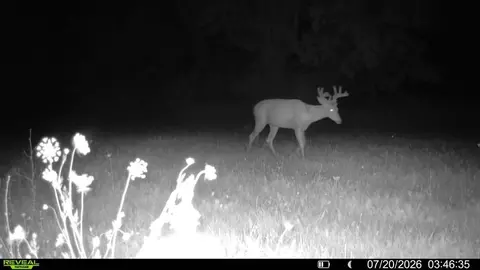 Other - 21881 Kale Rd, Sparta, WI 54656 photo 19 of 54
