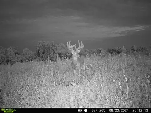 Other - 21881 Kale Rd, Sparta, WI 54656 photo 46 of 54