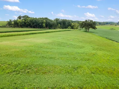 4 6 Acres On Clarkson Rd, Marshall, WI 53559 photo 8