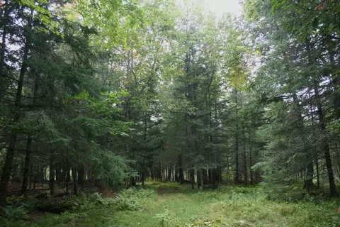 12279 Stangle Rd, Butternut, WI 54514 photo 23