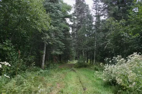 12279 Stangle Rd, Butternut, WI 54514 photo 22