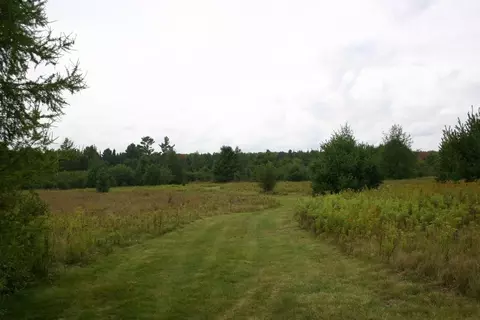 12279 Stangle Rd, Butternut, WI 54514 photo 18
