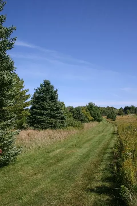 12279 Stangle Rd, Butternut, WI 54514 photo 12