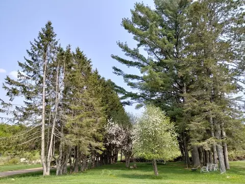 12279 Stangle Rd, Butternut, WI 54514 photo 3