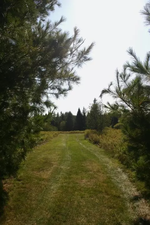 12279 Stangle Rd, Butternut, WI 54514 photo 16