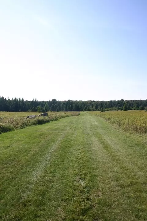 12279 Stangle Rd, Butternut, WI 54514 photo 17