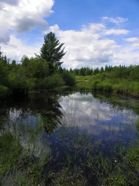 12279 Stangle Rd, Butternut, WI 54514 photo 8