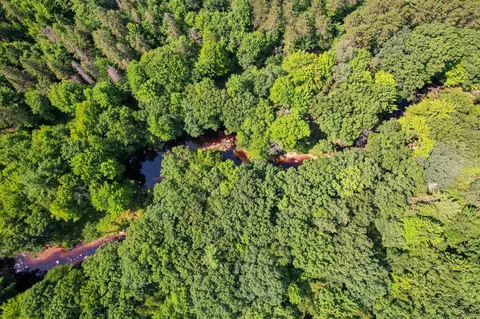 11901 Sparks Rd, Pittsville, WI 54466