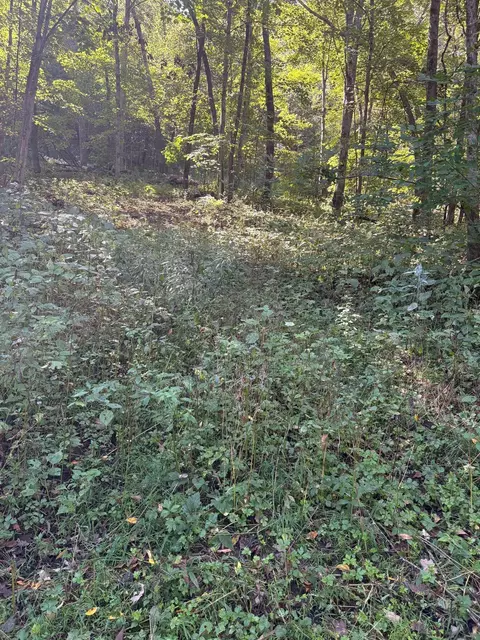 0 Opals Ln, Gays Mills, WI 54631