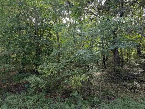 0 Raedel Ln, Wisconsin Dells, WI 53965
