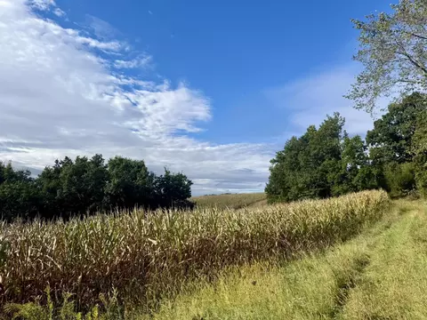 15 Acres Ozone Rd, Elroy, WI 53929