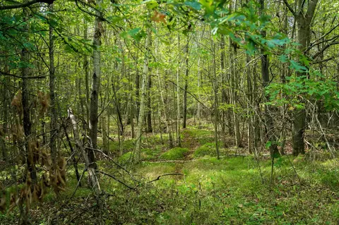 369 Ac Channey Rd Acres, Augusta, WI 54729 photo 5