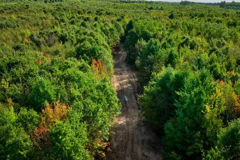 369 Ac Channey Rd Acres, Augusta, WI 54729 photo 24