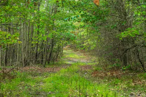 369 Ac Channey Rd Acres, Augusta, WI 54729 photo 8