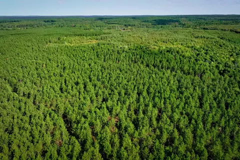 369 Ac Channey Rd Acres, Augusta, WI 54729 photo 25