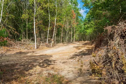 369 Ac Channey Rd Acres, Augusta, WI 54729 photo 32
