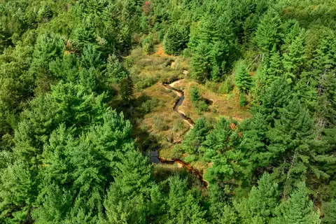 160 Ac Goat Ranch Rd Acres, Augusta, WI 54729