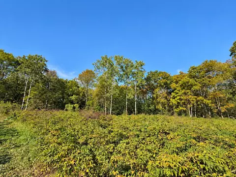 lot1 Csm 12361, Black Earth, WI 53515