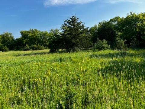 Hill Street, Markesan, WI 53946
