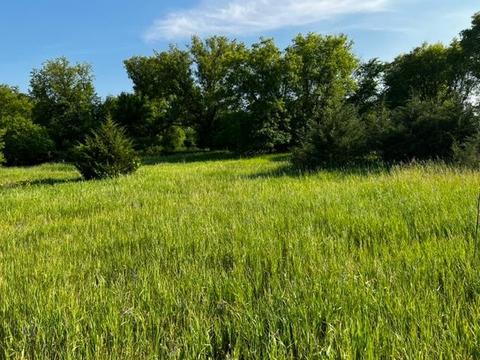 Hill Street, Markesan, WI 53946