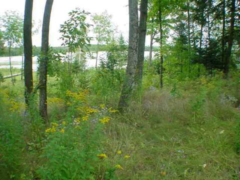 Lt4 W Bay, Ainsworth, WI 54462