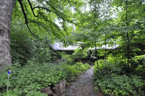 5650 Forest, Greendale, WI 53129 photo 1