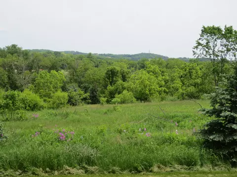 825 E Brandybrook, Wales, WI 53183 photo 1