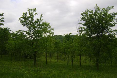 n3020 County Road S, Mitchell, WI 53011 photo 1