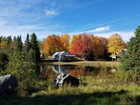 5570 Forest Ln, Tipler, WI 54542 photo 1