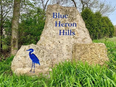 Lt15 Blue Heron, Whitewater, WI 53190