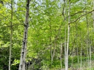 Lt1 Maple, Ashippun, WI 53036