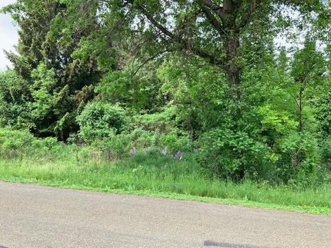 Lt3 Danbury, Emmet, WI 53098