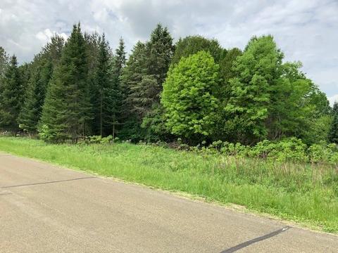 Lt4 Danbury, Emmet, WI 53098