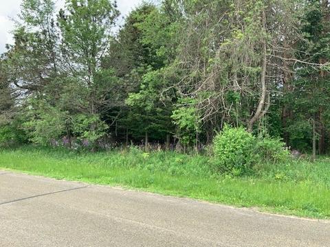 Lt5 Danbury, Emmet, WI 53098