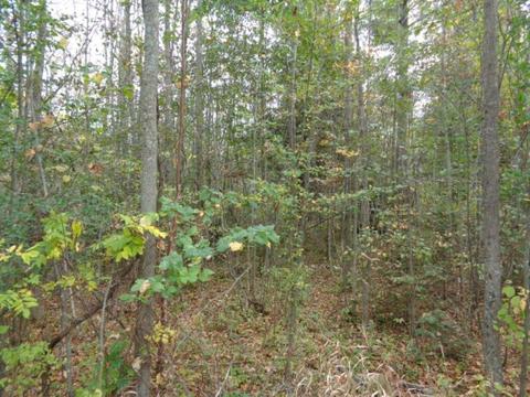 Lt0 Cth G, Spruce, WI 54174