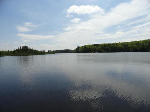 Lt18 Bear Lake, Blackwell, WI 54566
