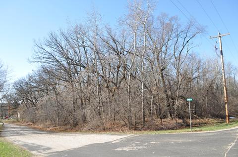 Lt1 Cane, Sugar Creek, WI 53121
