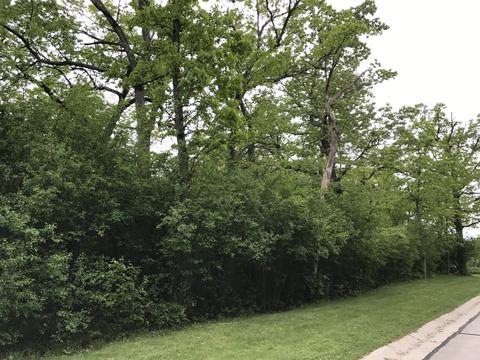 Lt6 Olde Oak, Genesee, WI 53066