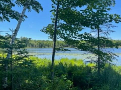 Lt0 Sawyer Lake, Townsend, WI 54175